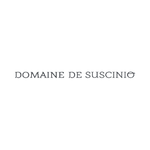 celtevents-logo-partenaire-domaine-de-suscinio-nb