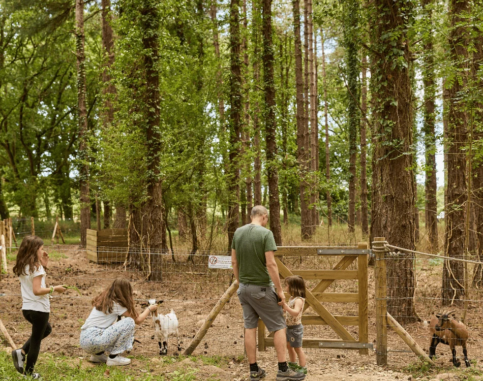 parc-des-grands-jeux-image-2 Featured image 3