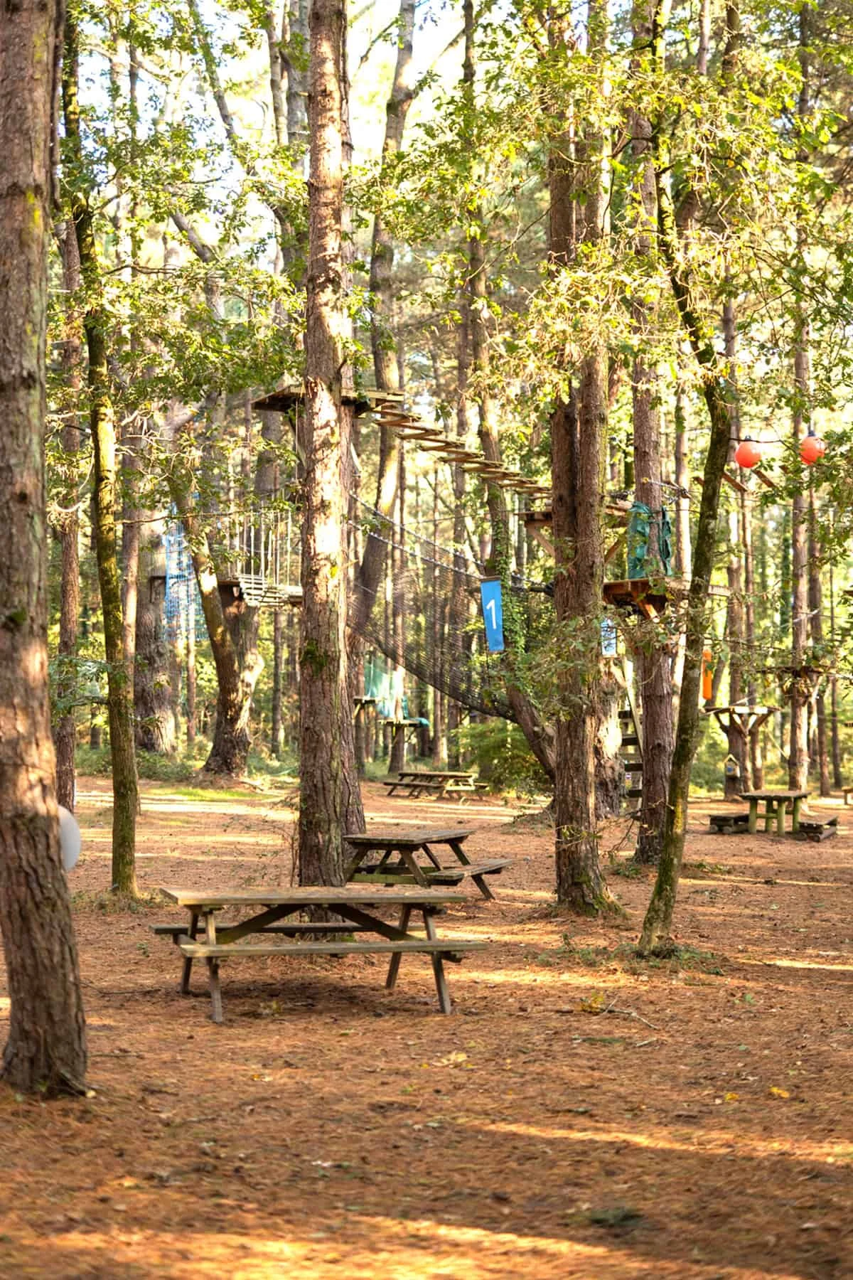 Parc-CeltEvent-Bandeau-vertical-mobile-1200×1800-2025-02