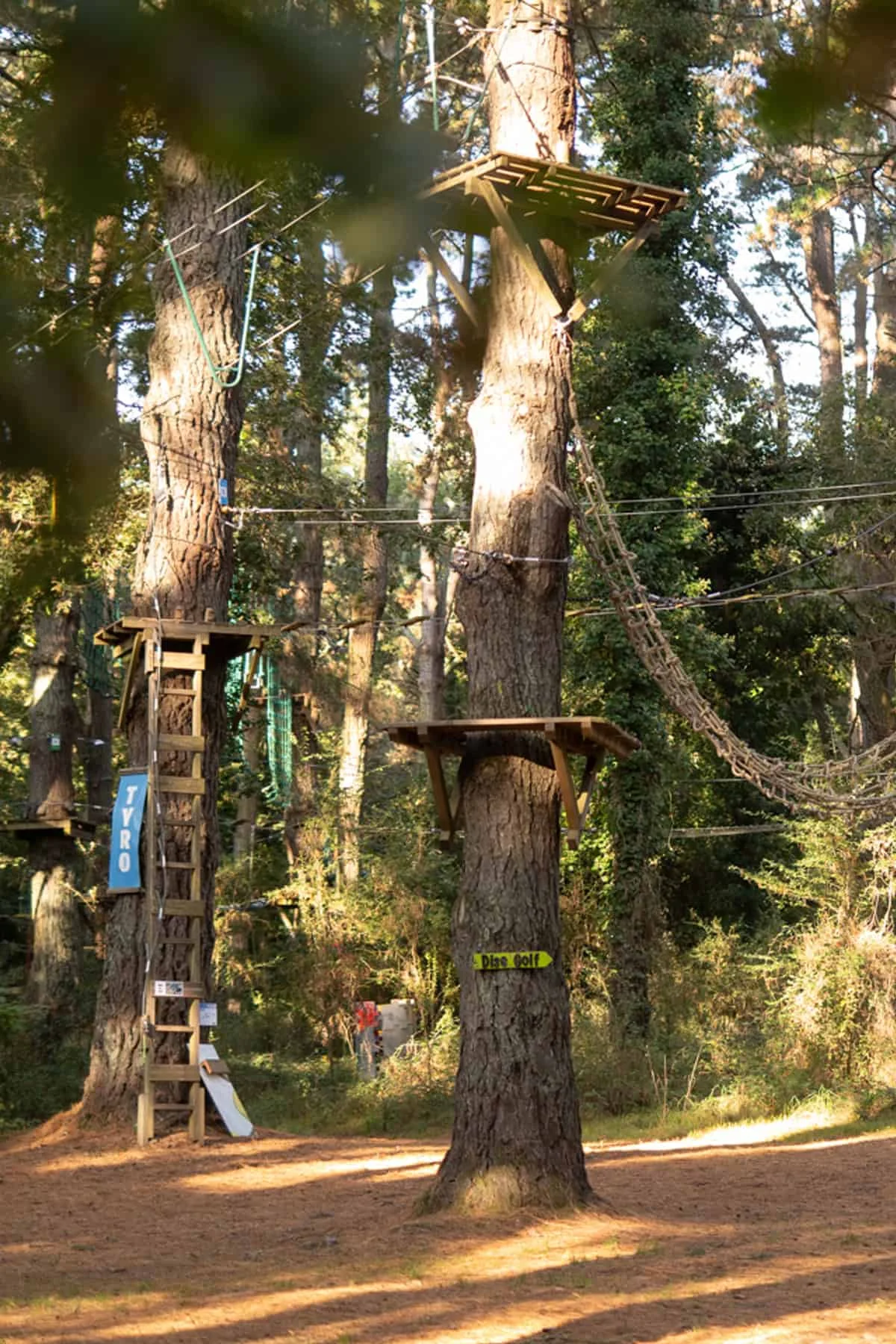 Parc-CeltEvent-Bandeau-vertical-mobile-1200×1800-2025-04